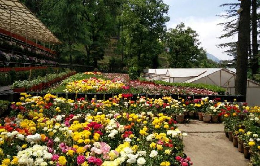 Company Garden